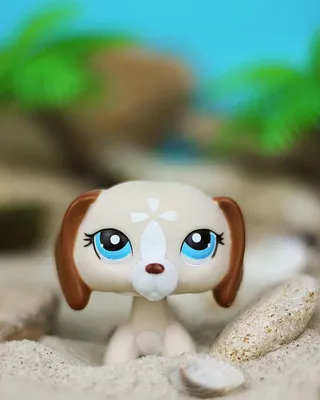 LPS CAT рідкісна тварина Littlest pet shop хитна голова іграшки ТАКСА #  1631 біле вухо собака модель іграшки для дітей мила фігурка | Іграшкові  тварини | Індіго