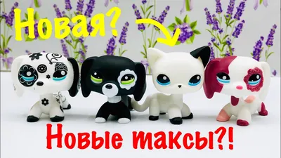 Littlest Pet Shop такса Саванна LPS – купить в Зеленограде, цена 600 руб.,  продано 10 марта 2018 – Игрушки и игры