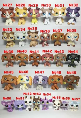 LPS Pet Shop Игрушки Редкие ПОПУЛЯРНЫЕ #675 Коричневая Такса Собака  Подкованная Тростник Щенок Собака | eBay