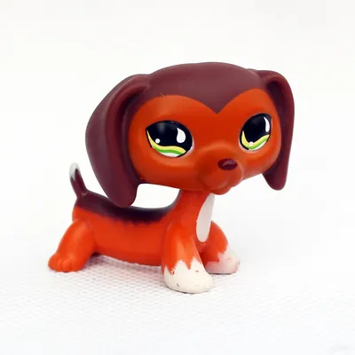 Littlest Pet Shop Bobble Heads | Lps Animals Cat Dog | Lps Pet Dachshund  Dog | Toys Lps - Action Figures - Aliexpress