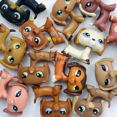 Littlest pet shop лпс lps такса #556 ОРИГИНАЛ – купить в Москве, цена 1 600  руб., продано 4 марта 2019 – Игрушки и игры