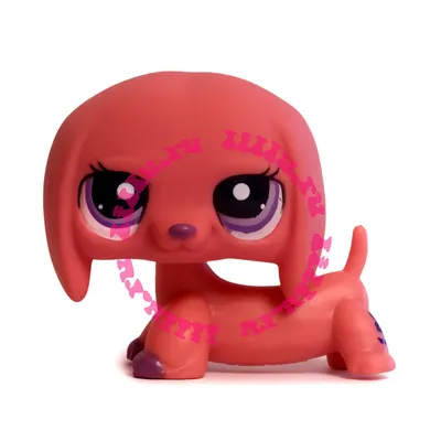 Lps таксы Littlest pet shop, фигурки лпс собачки - 300 грн, купить на ИЗИ  (9816217)