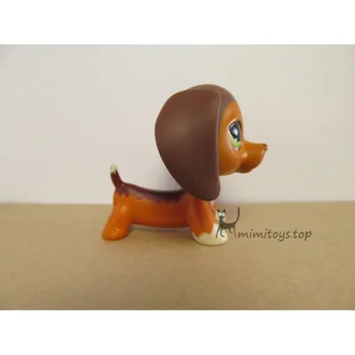 Littlest pet shop лпс lps такса # 3601 ОРИГИНАЛ – купить в Москве, цена 1  600 руб., продано 15 октября 2019 – Коллекционирование