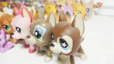 Далматинская собака Такса Littlest Pet Shop Cat Puppy, Кошка, фиолетовый,  животные, карнавор png | Klipartz