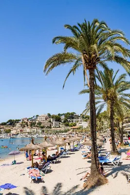 9 Best Places To Visit In Mallorca, Spain | CuddlyNest Travel Blog