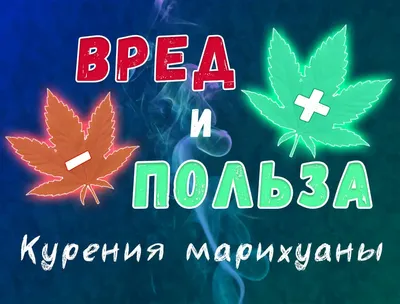 Казахстанец хранил сотни килограммов марихуаны на 60 миллионов тенге