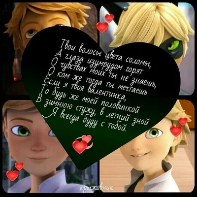 Стихи Маринетт и Адриана💖 | 🐞Russian Miraculers🐞 Amino