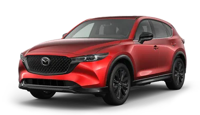 What Makes the Mazda CX-5 a Great Family Car? | Blog | Orem Mazda