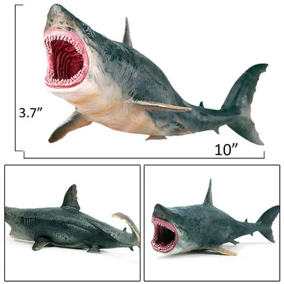 Большая фигурка акула мегалодон 27 см. купить в интернет-магазине Джей Той