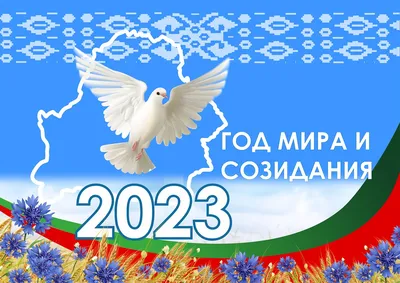 Международный день мира и почему важно его отмечать? | United Nations  Development Programme