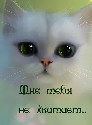 https://pikabu.ru/story/kak_zhe_mne_tebya_ne_khvataet__gospodi_11004841