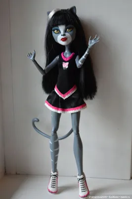 Купить куклы Monster High Meowlody and Purrsephone в Украине