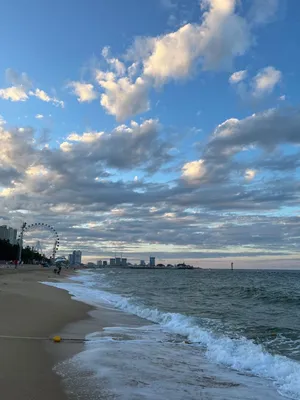 Обои осень, скамейки, стол, море, берег, деревья, листва картинки на  рабочий стол, фото скачать бесплатно