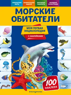 Набор для раскопок Бумбарам Морские обитатели купить по цене 325 ₽ в  интернет-магазине Детский мир