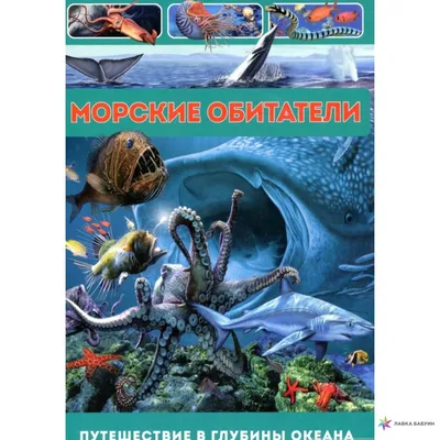 Морские обитатели общее фото» — создано в Шедевруме