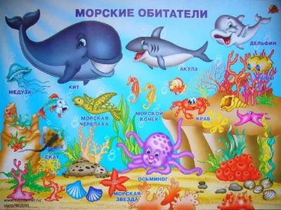 Игровой набор \"Морские обитатели\" 303-196 A-Toys купить - отзывы, цена,  бонусы в магазине товаров для творчества и игрушек МаМаЗин