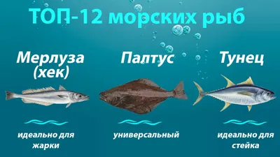 Морская рыба — купить в Москве по выгодным ценам