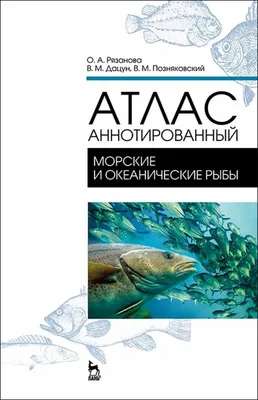 Морские летучие мыши обитают среди рыб в Приморском океанариуме —  Приморский Океанариум