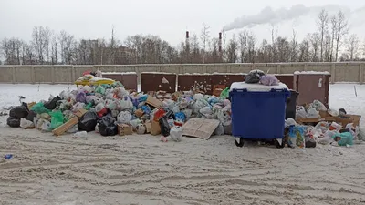 Видео: Жители Красноярска накидали под окна общежития 40 тонн мусора -  Российская газета