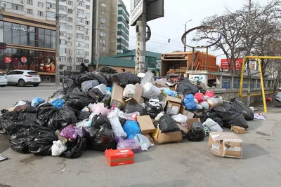 Зерна без плевел: в ГД хотят запретить вывоз пищевого мусора на свалки |  Статьи | Известия