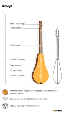 Классификация музыкальных инструментов: основные группы и виды - РИА Дербент