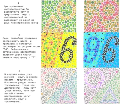 Дальтонизм - причины, симптомы, тест на дальтонизм и лечение цветовой  слепоты в клинике Новый Взгляд