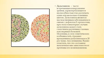 Полный тест на цветоощущение (дальтонизм) онлайн