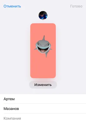 Экран звонка на Айфон: как настроить в iOS 17