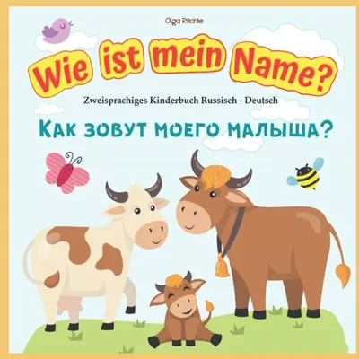 В каких странах говорят на немецком: узнайте немецковорящие страны мира