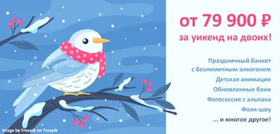 Наряды в этих цветах принесут вам удачу в 2024 году: встречаем Новый год  правильно — Улус Медиа