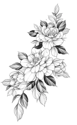 Винтажный принт на прозрачном фоне. Vintage print on transparent  background. | Flower tattoo drawings, Chest tattoo designs female, Flower  tattoo designs