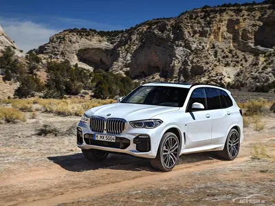 https://umka-raskraski.ru/kartinki-na-rabochij-stol-bmw-x5