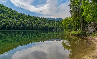 Обои цветы, горы, обрыв картинки на рабочий стол, фото скачать бесплатно