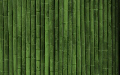 Бамбук, текстуры, texture wallpapers, green style обои для рабочего стола,  картинки, фото, 1920x1200.