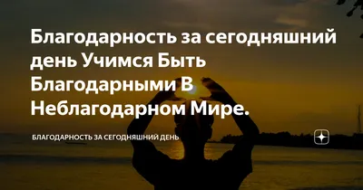 День хвоСТОв мы временно оставляем открытым 🙀🙌 | Теплый ДОМИК в Яковлево  | Дзен