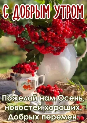 ❣🍃️🍁🤍✨️ ❣️🍃🍁🤍✨ ️❣️🍃🍁🤍✨️ Не жалейте красивых Ниток , вышивая сегодняшний  День... 🌹✨️🤍🍃🍁 🌹✨️🤍🍃🍁 🌹✨️🤍🍃🍁 | Доброе утро, Осень, Картинки