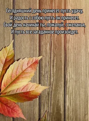 Картинки с надписью - Сегодняшний день принесет пусть удачу.