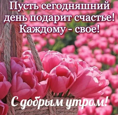 Федеральный телеканал ОТР посвящает сегодняшний день Новгородской области -  Газета «Новгород»