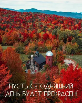 Сегодняшний день - прекрасный повод провести время с любимыми!» — создано в  Шедевруме