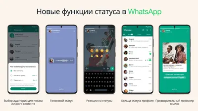 Как скрыть свой статус WhatsApp для выбранных контактов - Hi-Tech Mail.ru