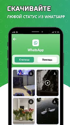 Статус из фото и видео в WhatsApp. Истории в вотсап