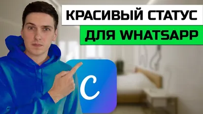 Как использовать статус WhatsApp: 10 вещей, которые вам нужно знать? |  Компьютерный гений | Дзен