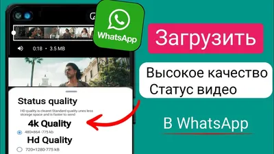 Как увидеть, кто тайно просматривал ваш статус / профиль WhatsApp - YouTube