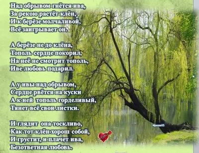 🎵 Премьера новой песни Амины Магомедовой – «Безответная любовь»! ⠀  Состоялся релиз нового сингла Амины Магомедовой - «Безответная любовь».  Несмотря на... | By Звук-М | Facebook