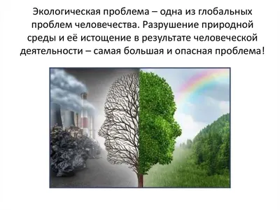 Подборка рисунков на тему экологии - Начальные классы