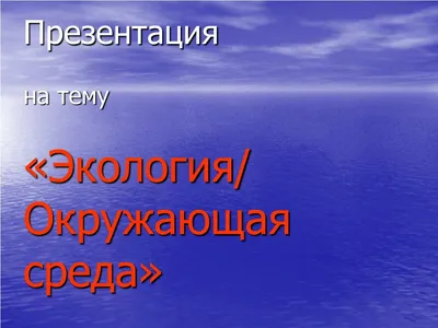 Дети Бобруйска и района рисовали на тему экологии (ФОТО) :: Бобруйск -  Образование