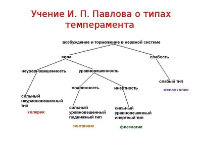 Разработка урока на тему: Как описать характер человека?