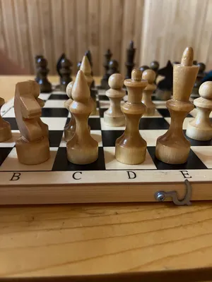 Chess'n'ok тема шахмат мокрая …» — создано в Шедевруме