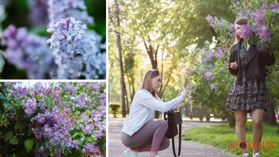 Весна 2 часть\" Шаблоны для поделок в сад, в школу, на тему весна. Простые  весенние поделки своими руками в сад из бумаги. - Мой знайка