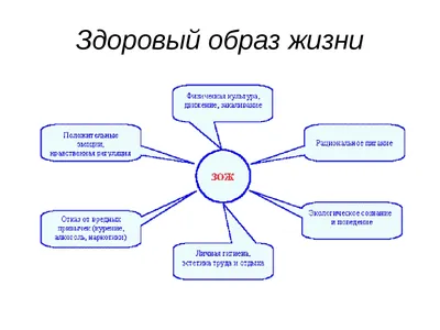 Интеллект-карта На Тему Здоровья И Здорового Образа Жизни. Ментальная Карта  Векторные Иллюстрации, Изолированные На Белом Фоне. Клипарты, SVG, векторы,  и Набор Иллюстраций Без Оплаты Отчислений. Image 94381231